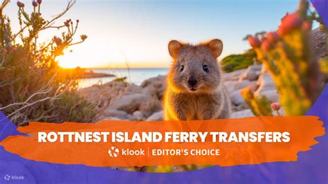 Rottnest Island Ferry Transfers - Klook Hong Kong