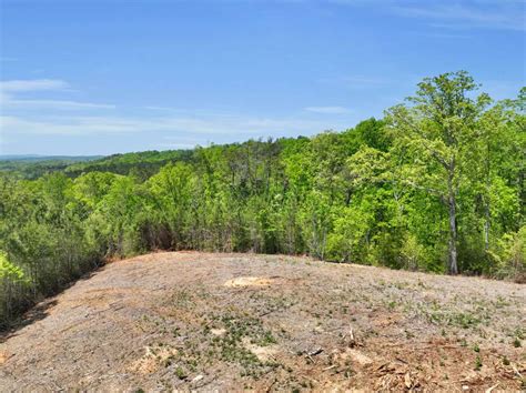 Valley View Farms Lot Country Tracts Georgia Land For Sale