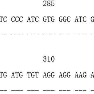 Alignment Of The Sequence Of Exon Of Novel C Allele With The