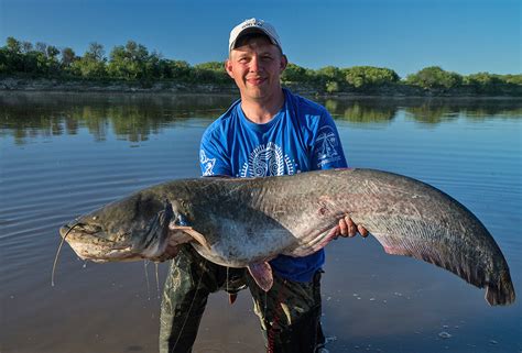 Фото Самого Большого Сома В России – Telegraph