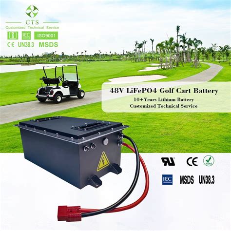 Cts Wholesale Price LiFePO4 Battery 48V 100ah Lithium Ion Battery With