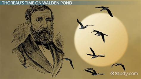 Henry David Thoreau Transcendentalism Video Lesson Transcript