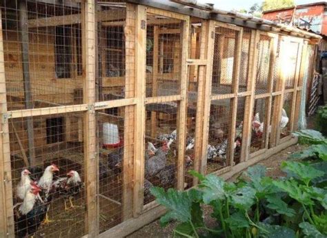 Курятник на даче: с выгулом, постройка, обустройство