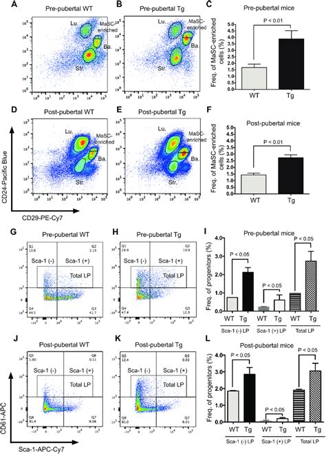 The Masc Enriched And Luminal Progenitor Compartments Are Expanded In