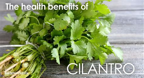 Health Benefits Of Cilantro Ask Dr Nandi Official Site