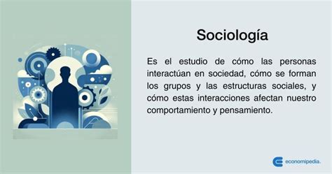 Sociolog A Qu Es Tipos Y Objetivos