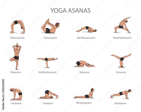 Vector set of yoga poses isolated on white background. Human body ...