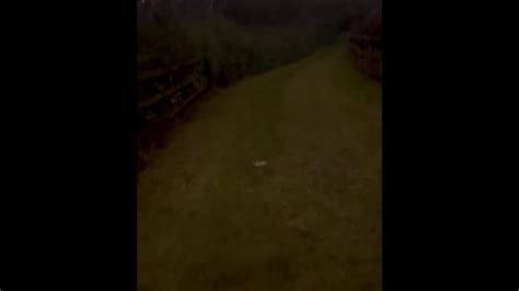 Risky Public Nudity Walk Pornhub Gay