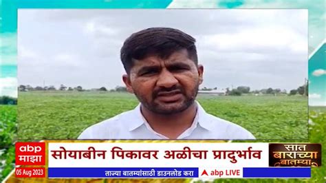 Saat Barachya Batmya 712 Agriculture News Maharashtra Nashik Soybean 05