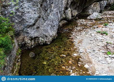 Sohodol Gorges Stock Image Image Of Hiking River Forest 258552033