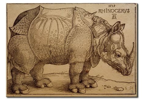 Reproduction Painting The Rhinoceros Albrecht Dürer Reproductions