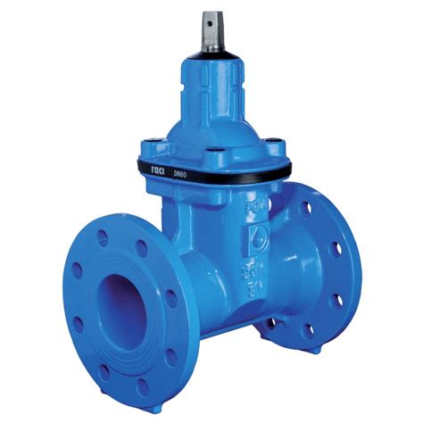 Raci Long Body Gate Valve Dn Pn Soft Seated Comid