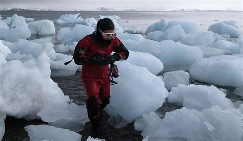 US researchers call for repository for Antarctic biodiversity | Polarjournal