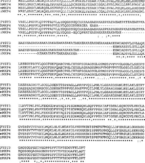 Figure 2 From Dual Specificity Mitogen Activated Protein MAP Kinase