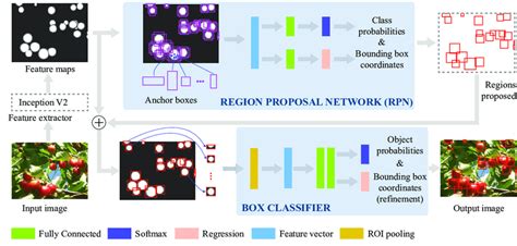 Faster R CNN Object Detection With Inception V2 Meta Architecture The