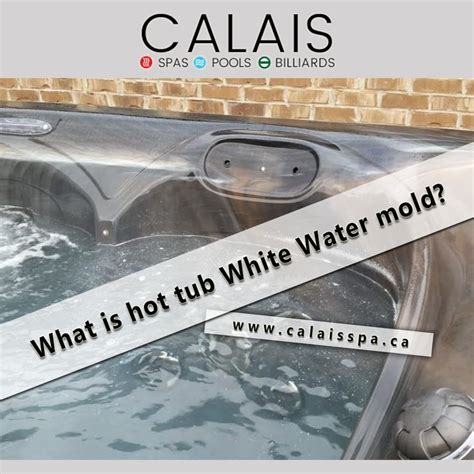 White Mold In Hot Tub Cool Product Recommendations Specials And Buying Recommendation