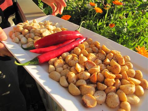 How To Roast Macadamia Nuts In A Pan Pansa