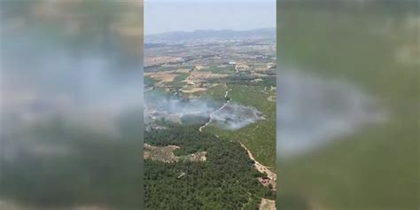 İzmir de Çıkan Orman Yangını Kontrol Altına Alındı Memurlar Net