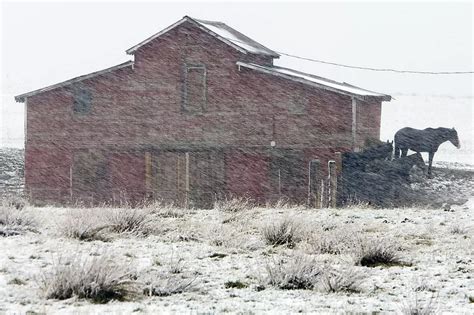 Record Breaking Snowfall Blizzard Conditions For West Mt