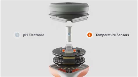 Meet The V Sign™ Sensor For The Sentec Transcutaneous Monitoring System