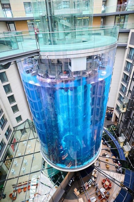 Berlin Hotel Aquarium Bursts Spilling Out 1500 Fish