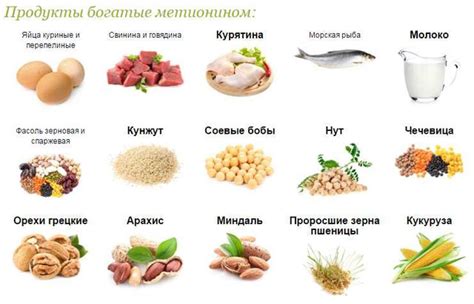 Аминокислоты для волос: какие аминокислоты полезны для волос