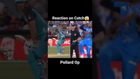 😳 😃most 😗 Unbelievable 😱 Cricket 💥cricket 😊 New Crickettrendingreels