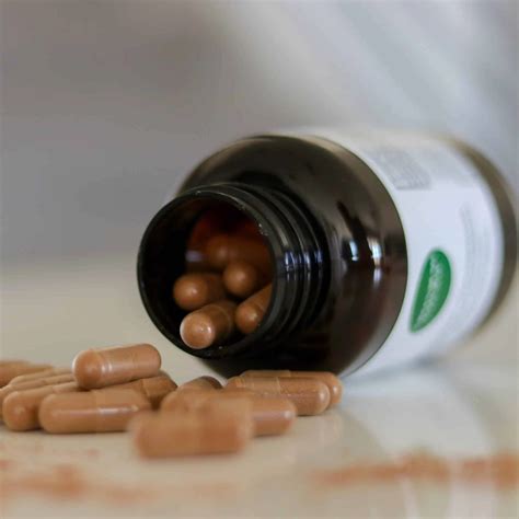 Greenbush Natural Products Embrace The Power Of Ceylon Cinnamon Capsules A Natural Companion