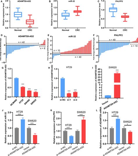 The Expression Levels Of ADAMTS9AS2 MiR32 And PHLPP2 In 50 Pairs Of