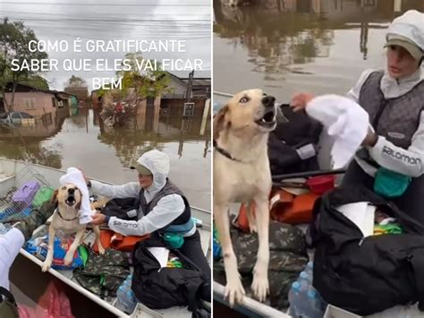 Carol Nakamura Faz Relato Ap S Enfrentar Guas Do Rs Cheiro De Morte