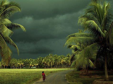 Download Kerala Hd Wallpaper - Rainy Season Kerala Nature - WallpaperTip