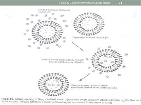 Vesicular Drug Delivery System Ppt