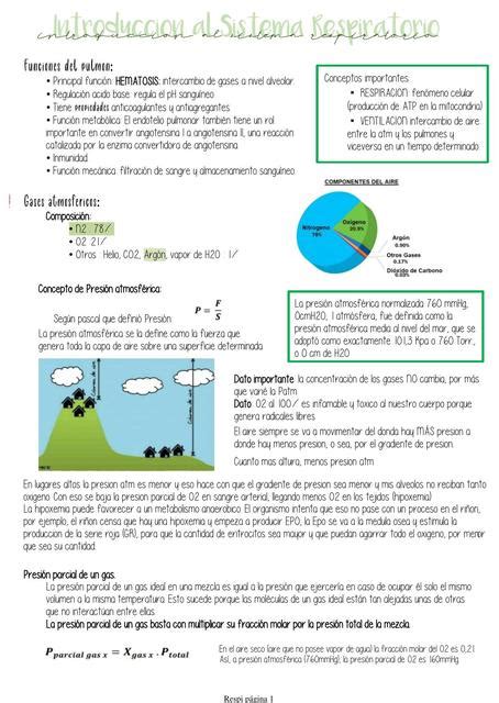 Fisiologia respiratória Luna uDocz