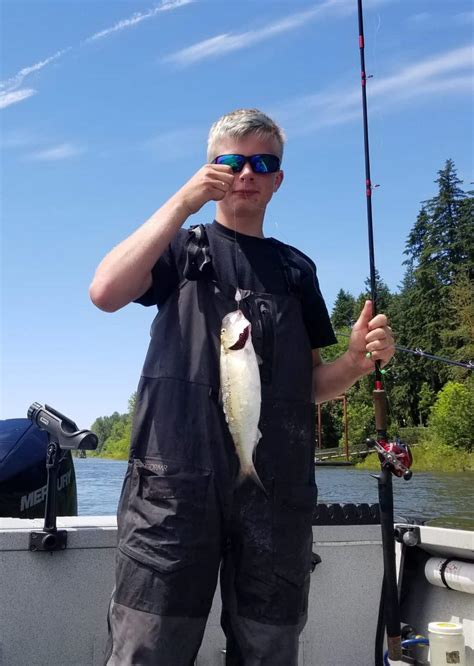 Shad Fishing In Oregon And Washington The Best Rivers Best Fishing