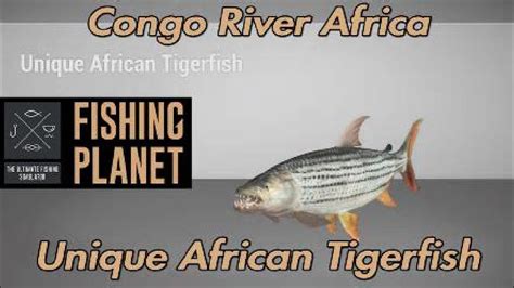 Fishing Planet Unique African Tigerfish Congo River Africa Youtube