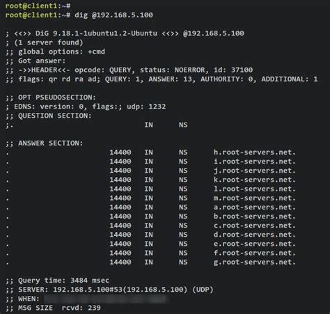 Cómo configurar un resolvedor de DNS local con Unbound en Ubuntu 22 04