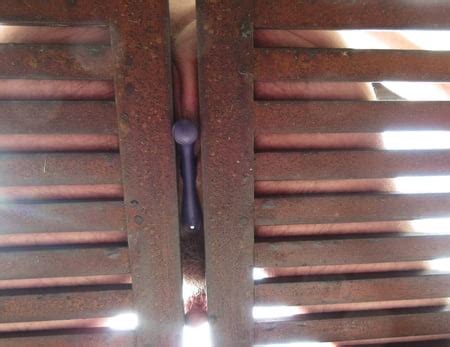 Finally Warm And Naked Outdoors Again Pics Xhamster