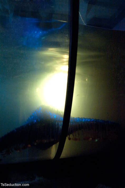 TS Seduction Starring Micah Andrews Yasmin Lee Hot Pictures CoedCherry