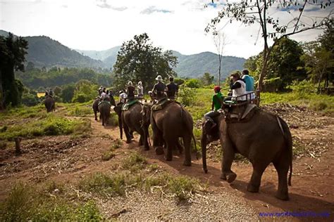 Riding Elephants in Chiang Mai, Thailand