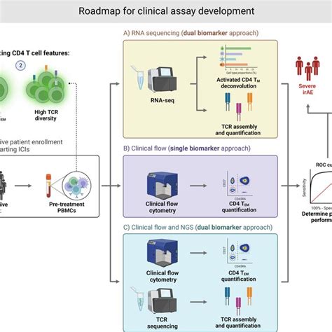 Gating Strategy For Identification Of Tissue Resident Memory T Cells