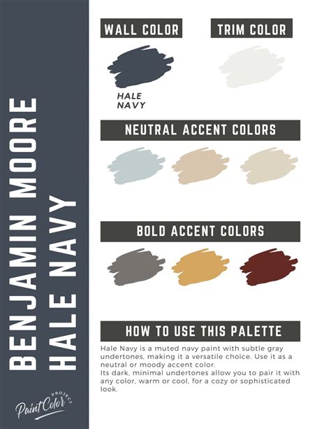 Benjamin Moore Hale Navy Paint Color Palette – The Paint Color Project