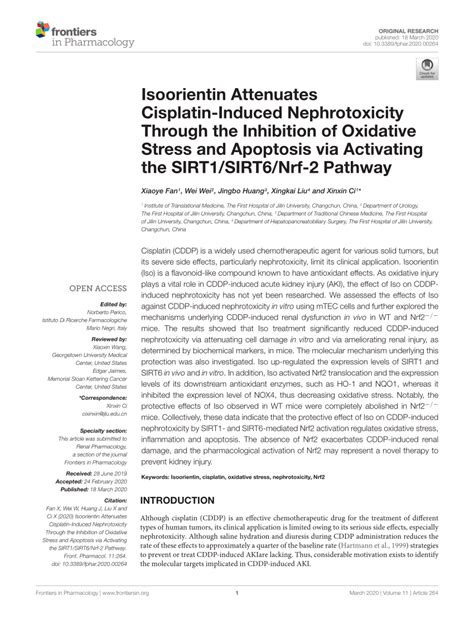 Pdf Isoorientin Attenuates Cisplatin Induced Nephrotoxicity Through