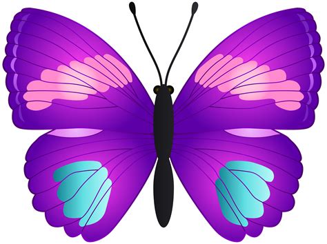 Transparent Butterfly Clipart | Free download on ClipArtMag