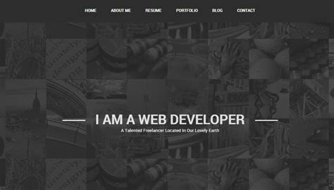 45 Best Premium Responsive Portfolio Themes for WordPress – Web Design ...