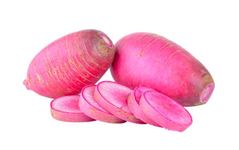 Radish Root Png Transparent Images Free Download Vector Files Pngtree