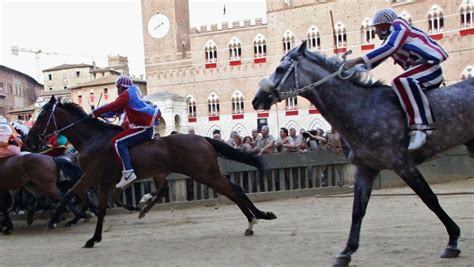 Palio Di Siena Fantini Contrade E Cavalli Accoppiate E