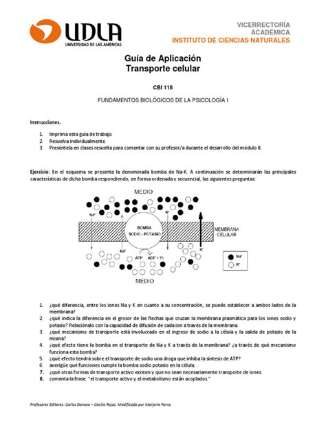 PDF Guía de Aplicación Transporte Celular DOKUMEN TIPS