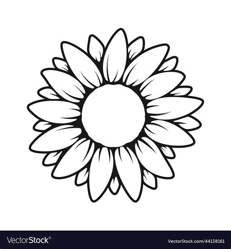 Yellow sunflower silhouette text frame Royalty Free Vector