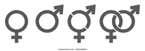 Set Male Female Signs Sexual Orientation Stock Vector Royalty Free