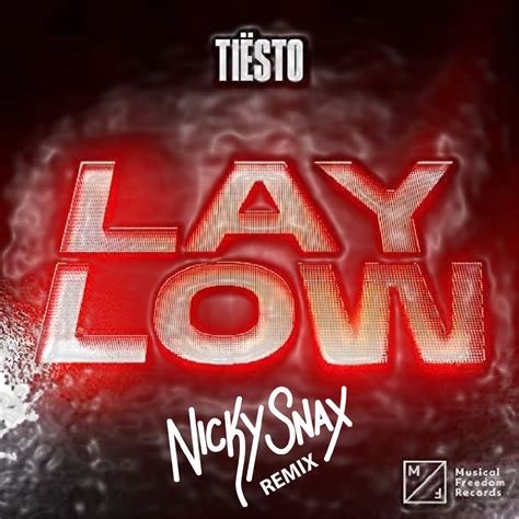 Lay Low Nickysnax Remix By Tiësto Free Download On Hypeddit